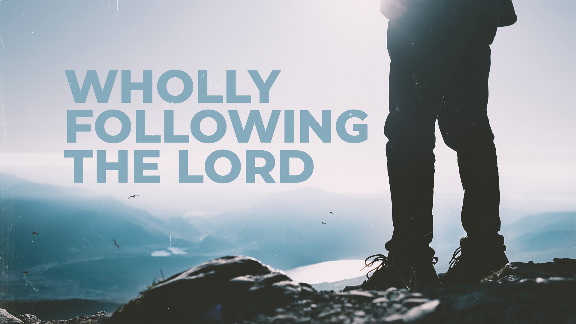 Wholly Following The Lord