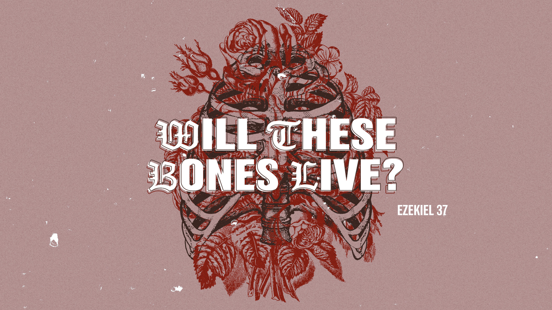 Will These Bones Live?