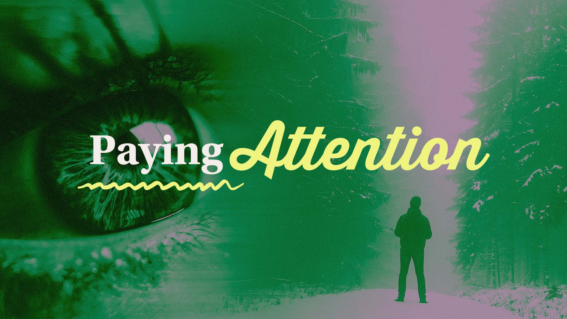 Paying Attention