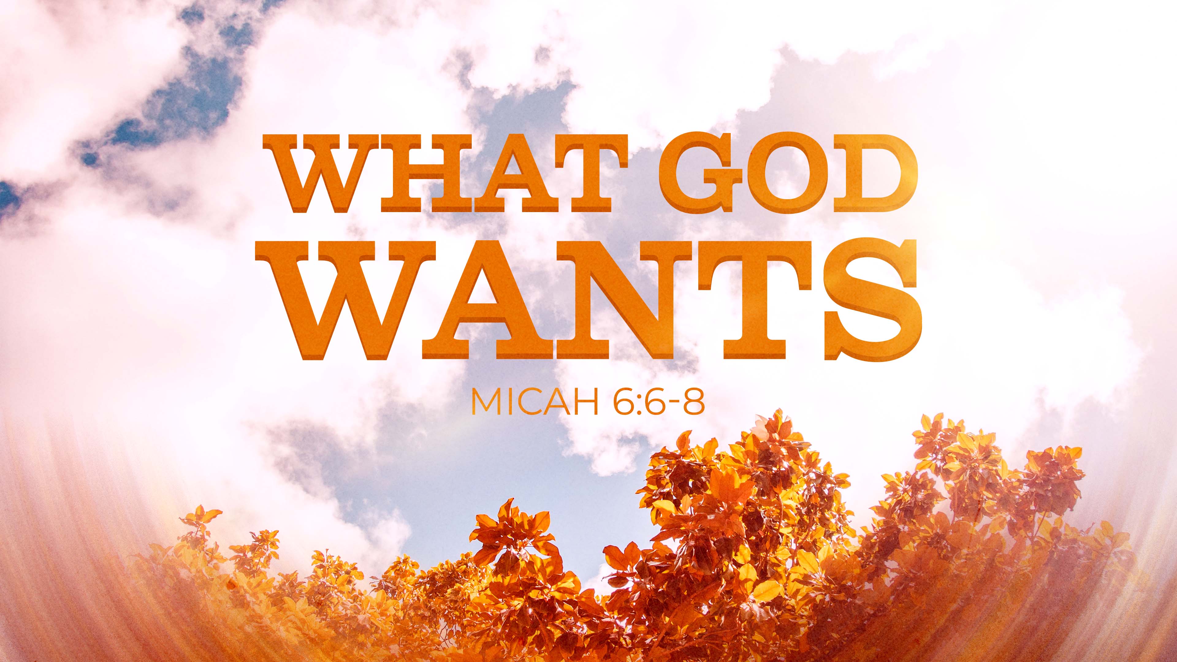 What God Wants