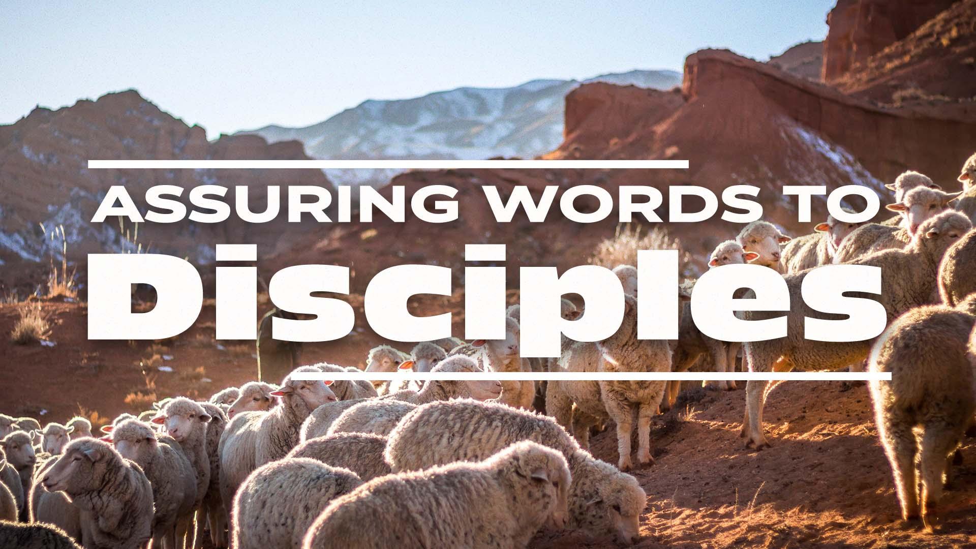 Assuring Words to Disciples